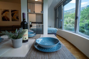 Studio apartman Rafailovici